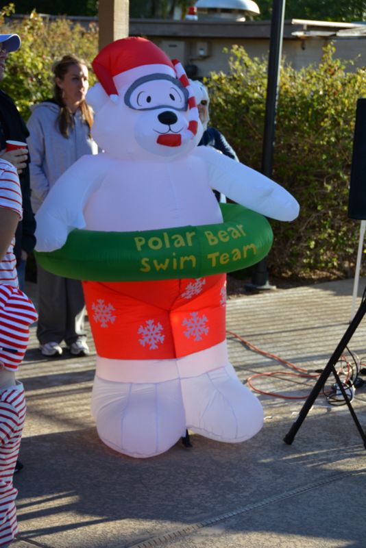Polar Plunge 2016